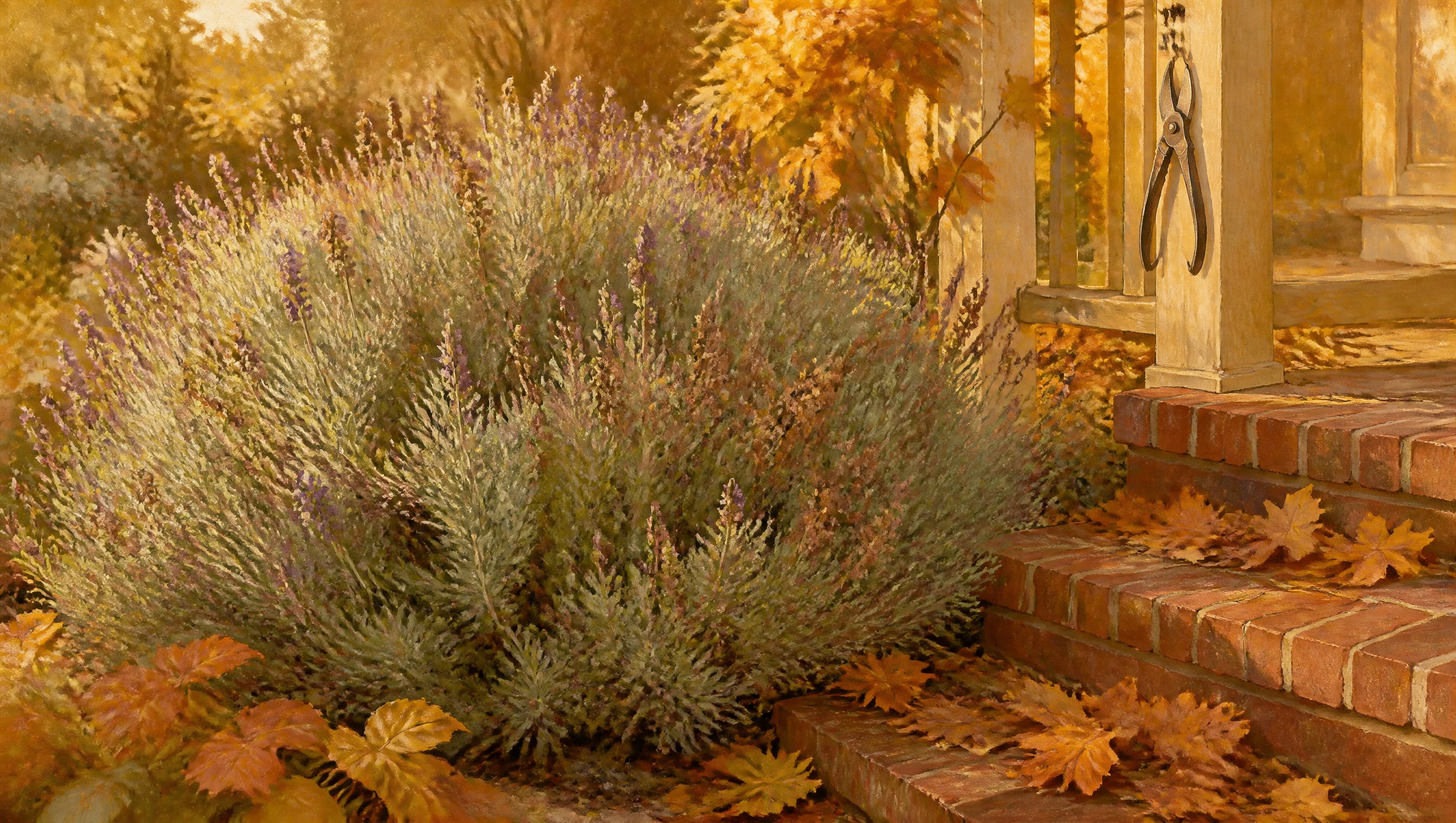 A rounded mound of silvery lavender with dry brown flower spikes beside a brick porch step in golden October light, pruning shears hanging closed on the railing