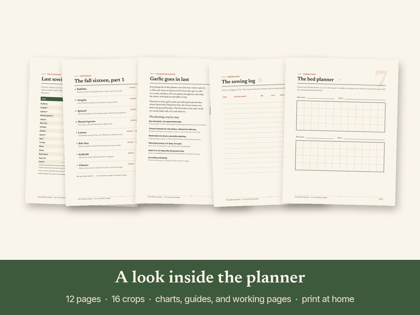 A look inside the planner: five pages fanned out, with charts, guides, and working pages